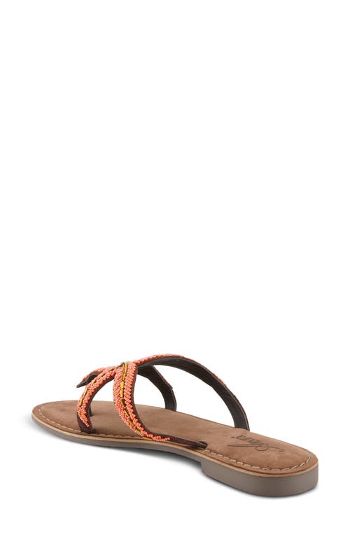 Shop Azura By Spring Step Starry Flip Flop In Peach