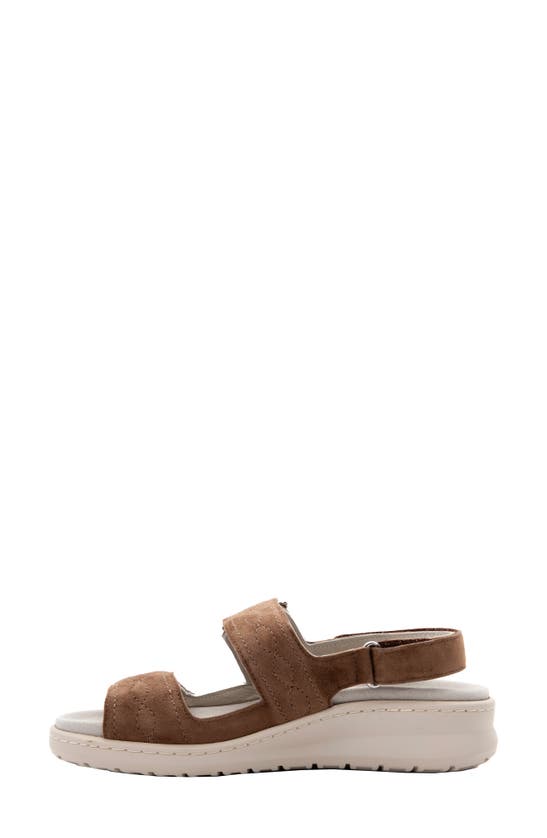 Shop David Tate Key Comfort Slingback Sandal In Brown