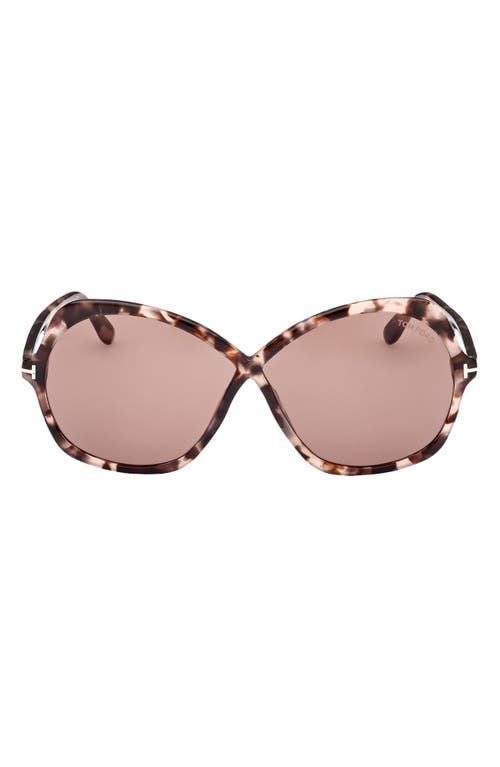 Shop Tom Ford Rosemin 64mm Gradient Oversize Butterfly Sunglasses In Shiny Coloured Havana/pink