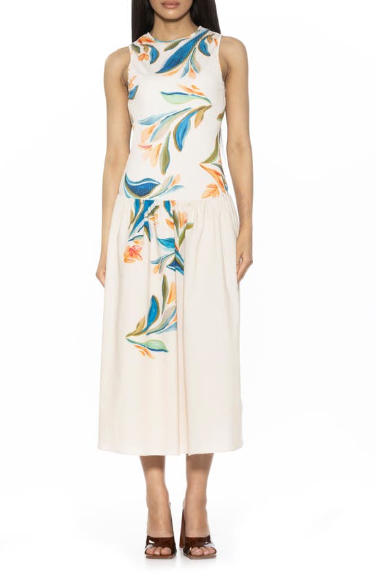 Alexia Admor Lyle Drop Waist Midi Dress In Large Floral