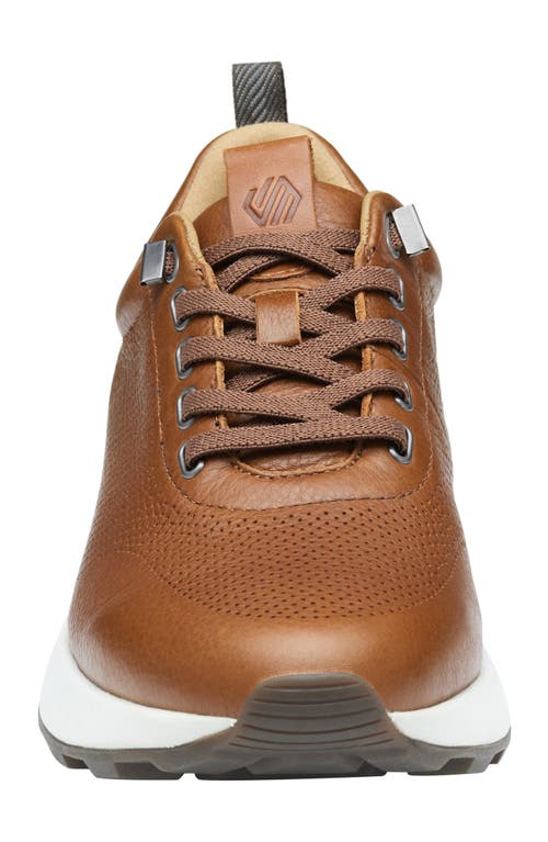 Shop Johnston & Murphy Kinnon Perforated Leather Jogger Sneaker In Dark Tan Full Grain