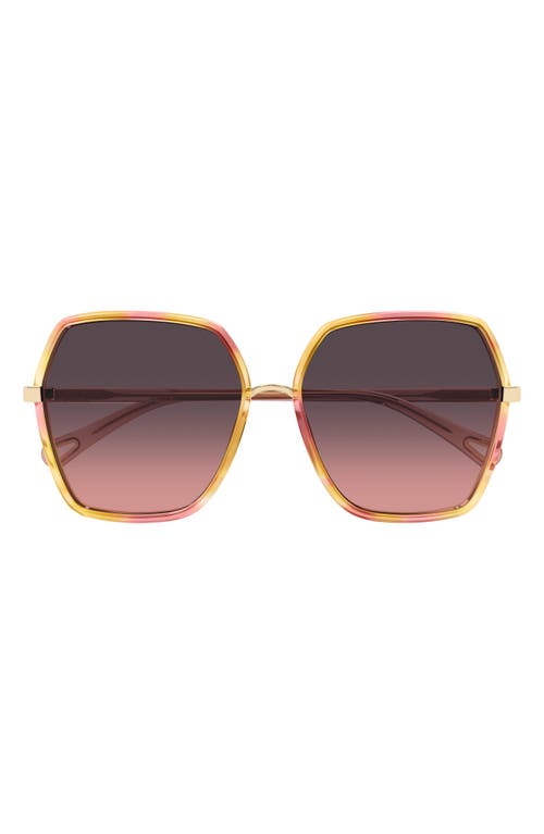 Chloé Oversize-frame Sunglasses In Dark Havana