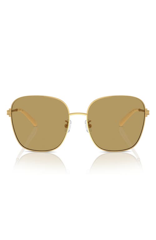 Tory Burch 57mm Square Sunglasses in Gold at Nordstrom