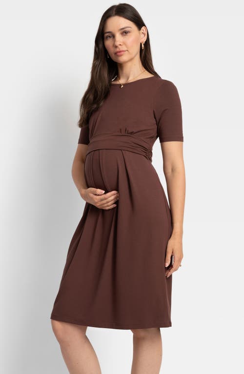 Shop Seraphine Pleat Detail Maternity/nursing Dress In Chocolat