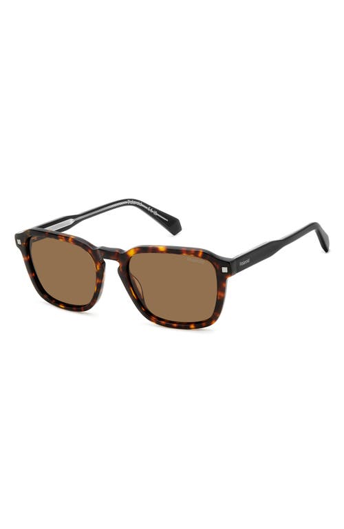 Shop Polaroid 53mm Polarized Rectangular Sunglasses In Havana/bronze Polarized