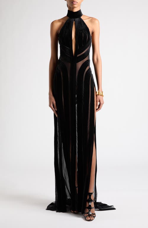 Shop Tom Ford Halter Neck Stretch Tulle & Velvet Gown In Black