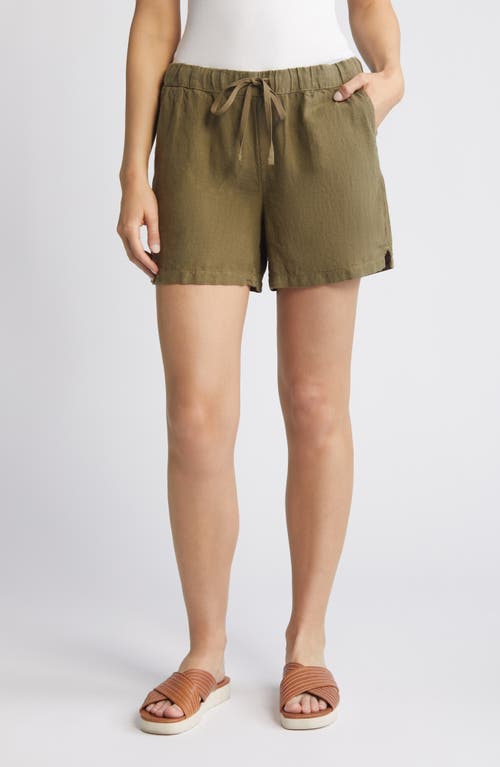 caslon(r) Linen Drawstring Shorts in Olive Burnt