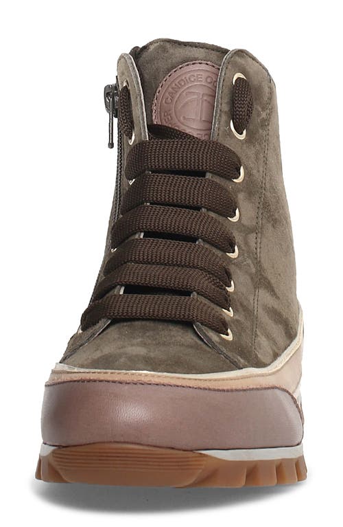 Shop Candice Cooper Janis Strip High Top Sneaker In Army Green