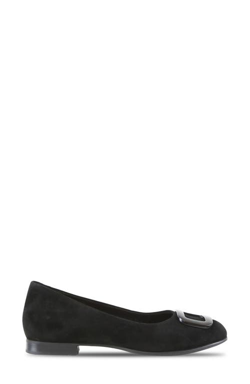 Munro Gianna Buckle Flat In Black Suede