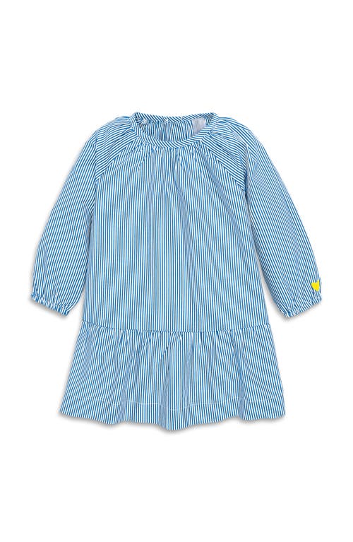 Shop Primary Baby Popover Dress In Stripe In Blueberry White Stripe