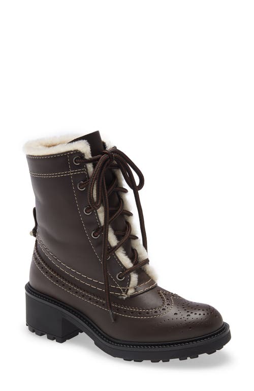 Chloé Franne Genuine Shearling Lining Lace-Up Boot in Bark Brown