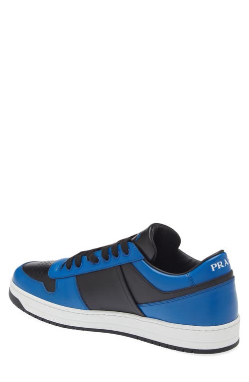 Shop Prada Downtown Logo Low Top Sneaker In Nero/cobalto