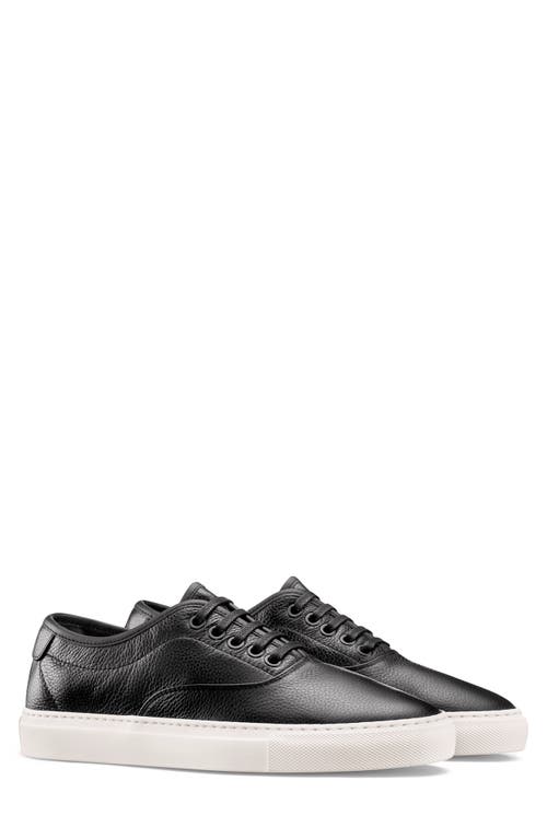 Koio Portofino Sneaker in Carbon