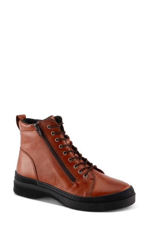 Shop Spring Step Hoylein Combat Boot In Cognac