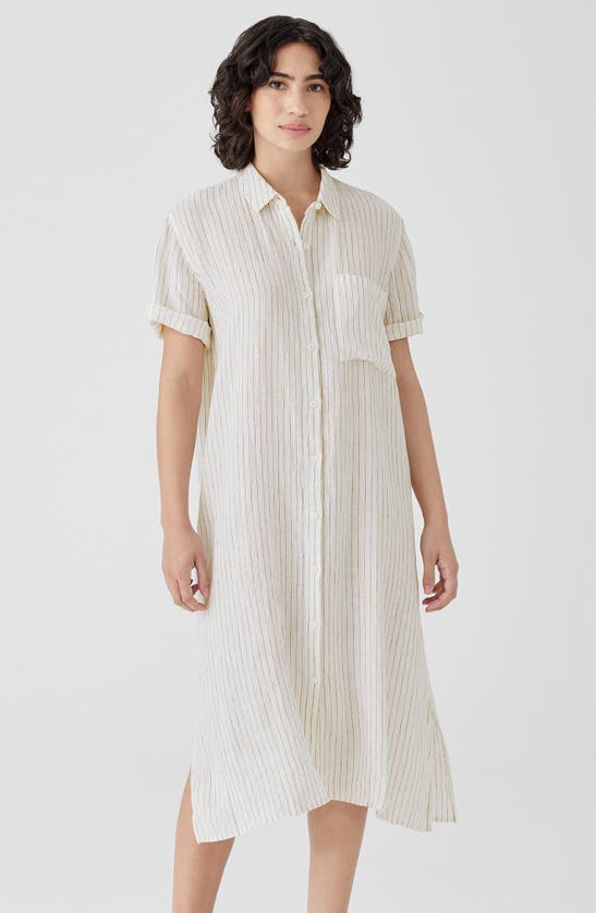 Shop Eileen Fisher Classic Collar Stripe Organic Linen Shirtdress In Bronze
