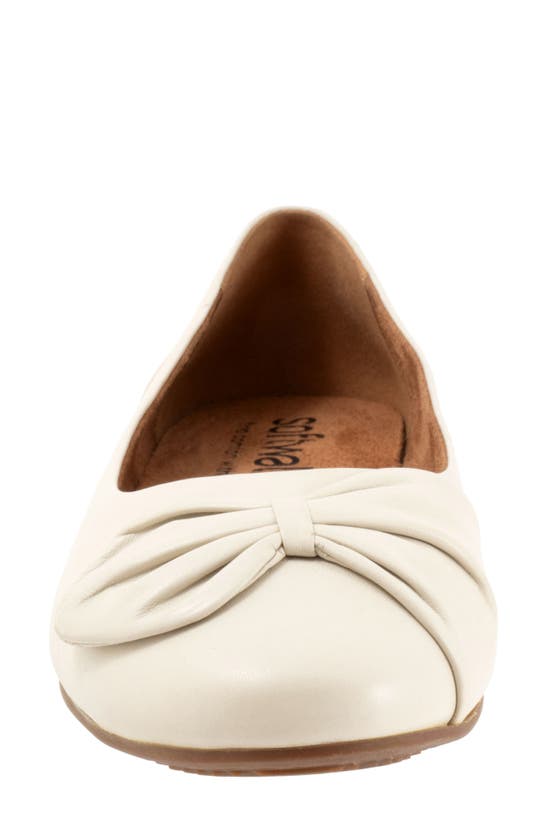 Shop Softwalk ® Sofia Bow Ballet Flat In Ivory