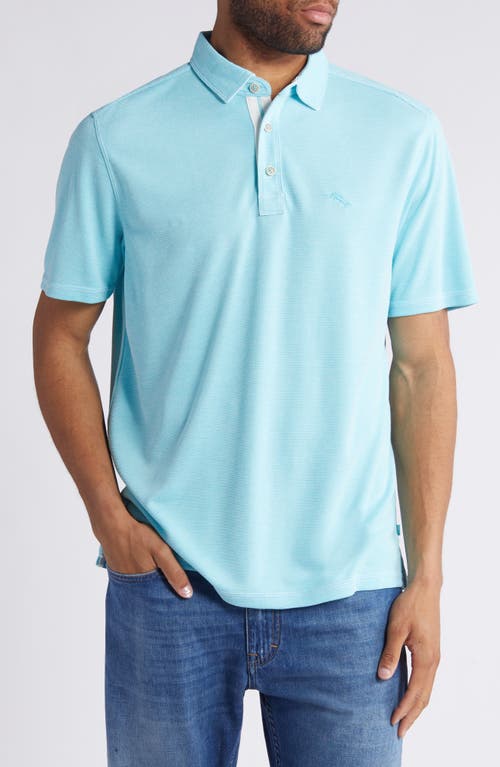 Tommy Bahama Paradiso Cove Stripe Polo in Plume 