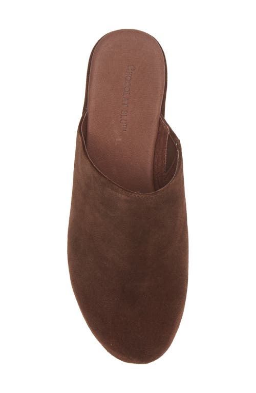 Shop Chocolat Blu Yoma Platform Clog In Chocolate Suede