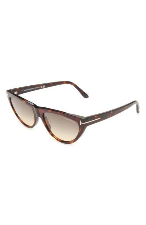 Shop Tom Ford Amber 56mm Cat Eye Sunglasses In Dark Havana/smoke/amber