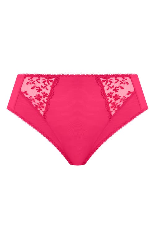 Elomi Zarla High Leg Briefs in Love Potion 