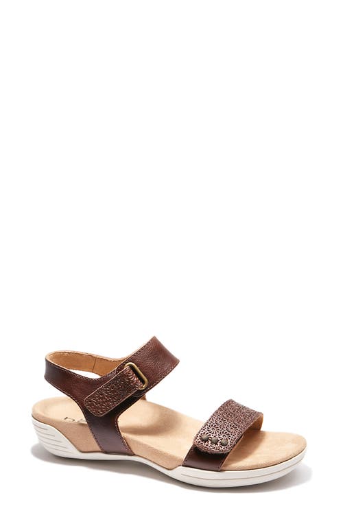 Dominica Sandal in Dark Brown