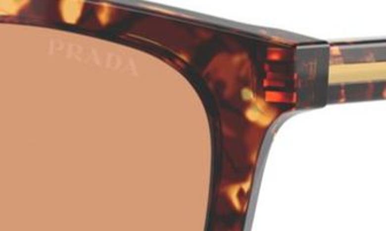 Prada 53mm Pillow Sunglasses In Havana/ Orange