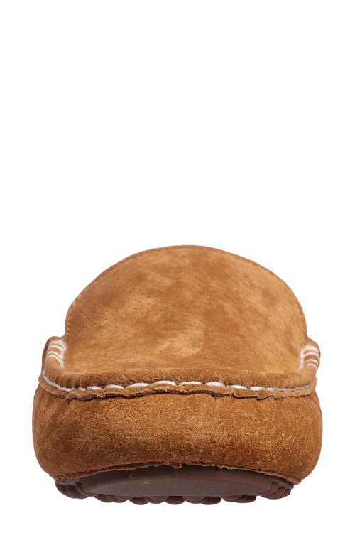 Shop Lamo Callie Faux Fur Lined Slipper In Chestnut