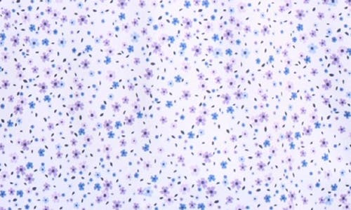 Tailorbyrd Ditzy Floral Print Performance Polo In Lilac