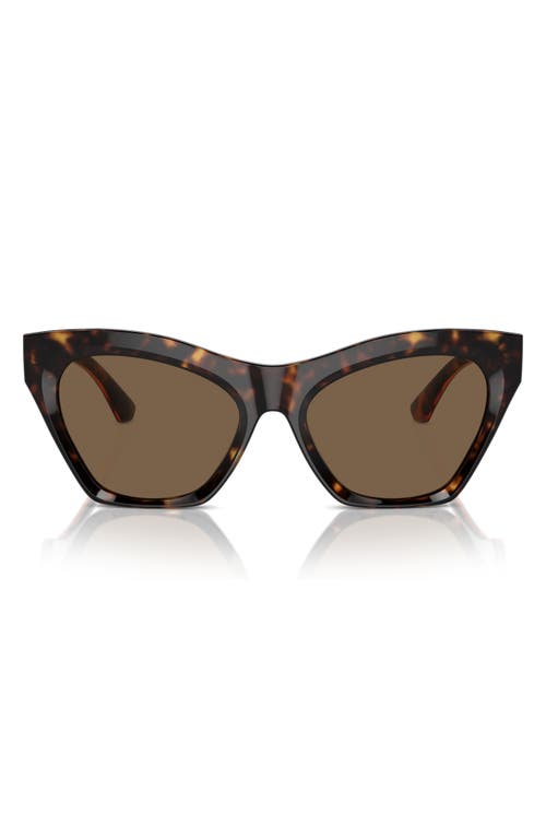 burberry 55mm Cat Eye Sunglasses in Dark Havana at Nordstrom