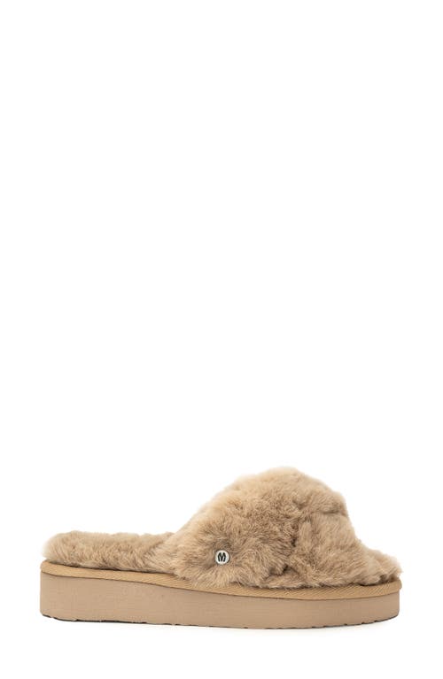 Shop Minnetonka Teddy 3 Faux Fur Slipper In Taupe