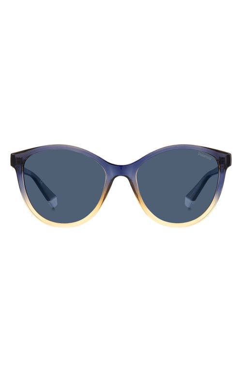 Polaroid 54mm Polarized Round Sunglasses in Blue Beige/Blue Polarized