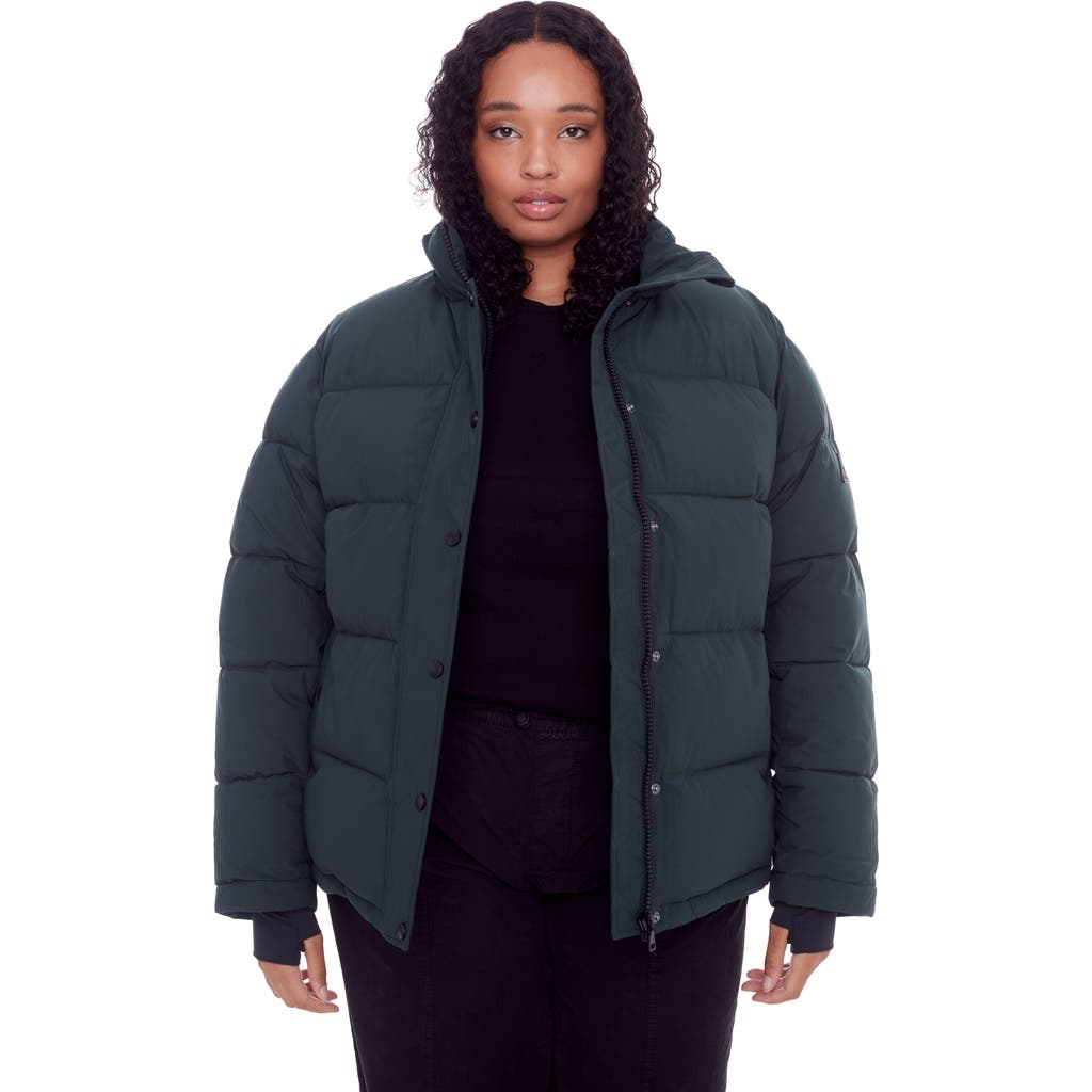 Alpine North Forillon Plus Size In Deep Green