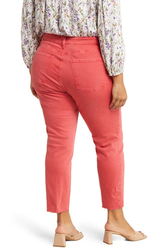 Shop Kut From The Kloth Reese High Waist Raw Hem Straight Leg Ankle Jeans In Strawberry