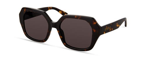 Derek Lam 10 Crosby Neptune Sunglasses In Tortoise