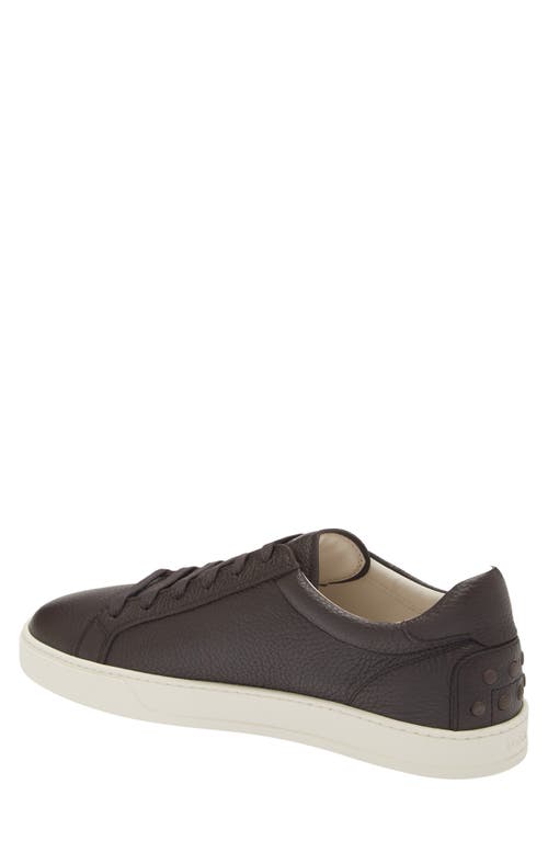 Tod's Men's Allacciata Cassetta 04l Lace Up Sneakers In Caffe