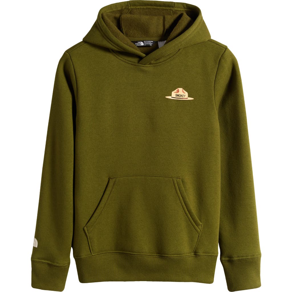 The North Face Kids' Camp Fleece Pullover Hoodie In Forest Olive/smokey The Bear