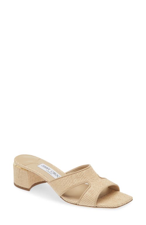 Jimmy Choo Ellison Slide Sandal Desert at Nordstrom