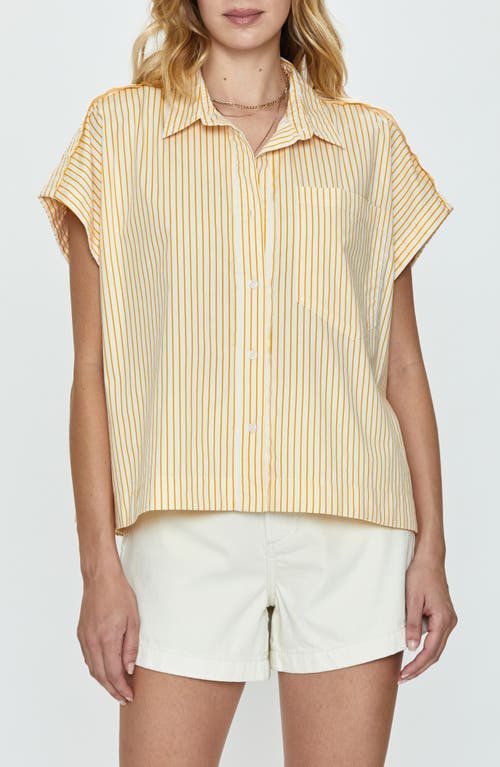 Cara Stripe Short Sleeve Shirt in Marigold Stripe