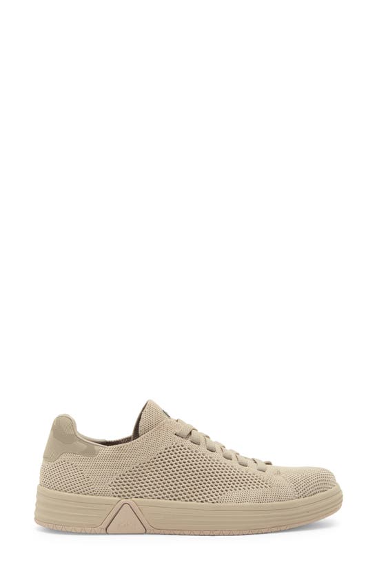 Shop Skechers Alpha Cup Brayden Lace-up Sneaker In Taupe