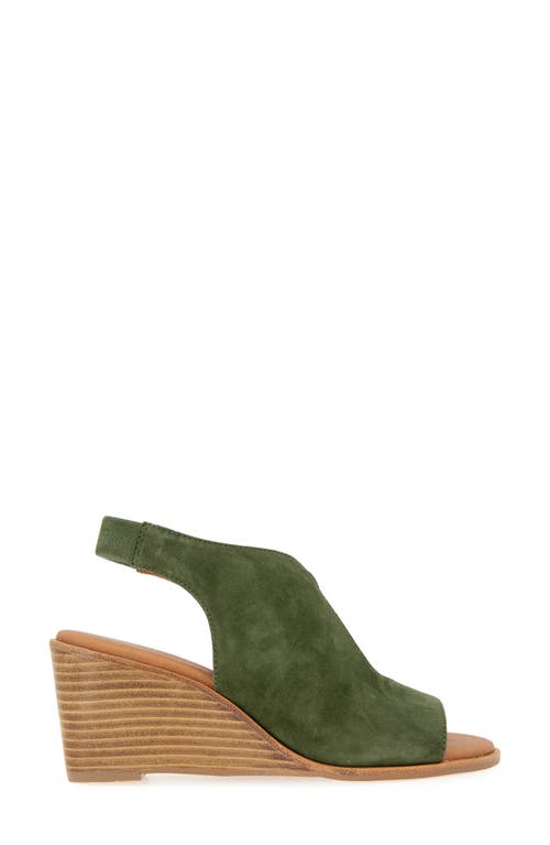 Shop Andre Assous André Assous Belinda Ankle Strap Sandal In Forest Green