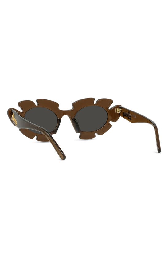 Shop Loewe X Paula's Ibiza 47mm Cat Eye Sunglasses In Light Brown/ Other / Smoke