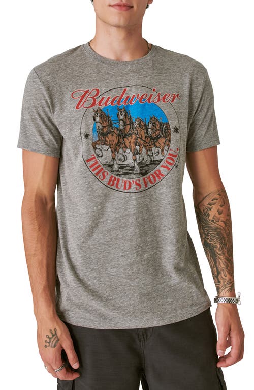Lucky Brand Budweiser Clydesdale Graphic T-Shirt Heather Grey at Nordstrom,