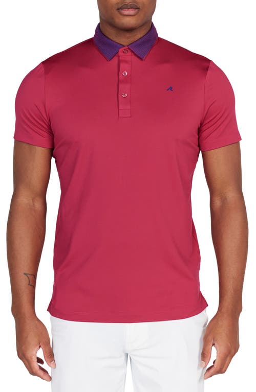Darby Contrast Collar Performance Golf Polo in Sangria
