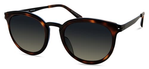 Modo 453 Sunglasses In Tortoise