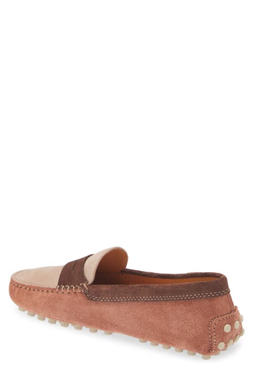 Shop Tod's Colorblock Penny Loafer In Cotto Chiaro