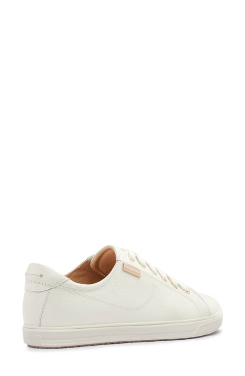 Frankie4 Nat Iii Cap Toe Sneaker In White Tumbled