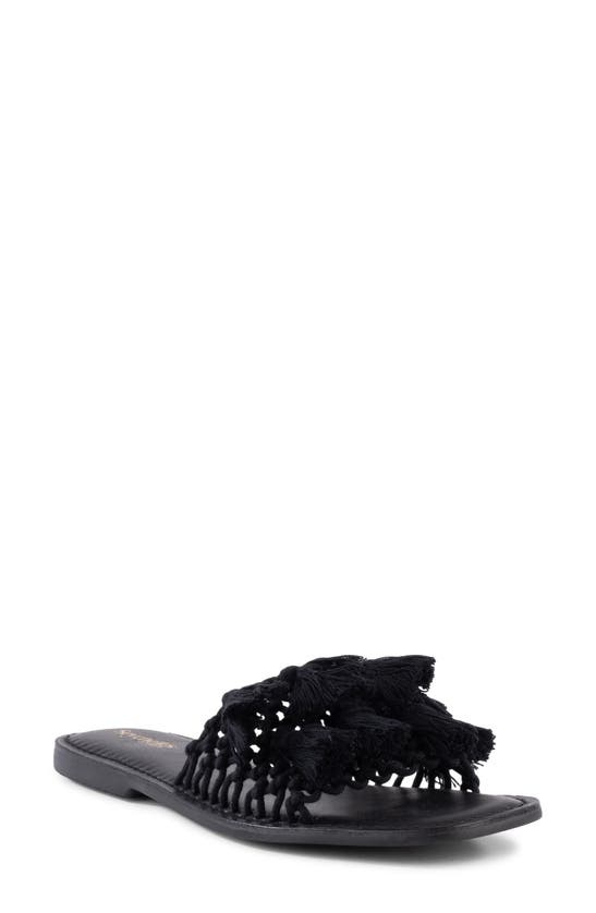 Shop Seychelles Camellia Slide Sandal In Black