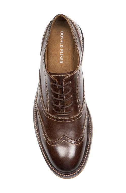 Donald Pliner Keelan Wingtip Oxford In Chocolate/chocolate