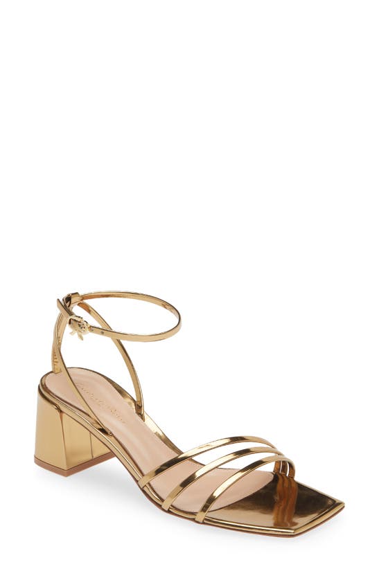 Shop Gianvito Rossi Brielle Ankle Strap Sandal In Mekong