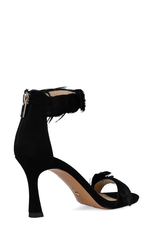 Shop Pelle Moda Breece Ankle Strap Sandal In Black